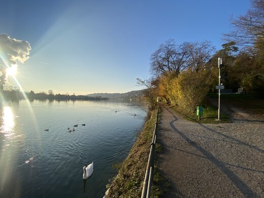 Rheinpromenade Waldshut-Tiengen | © © GdP-BW 2024 - alle Rechte vorbehalten (Karakus)