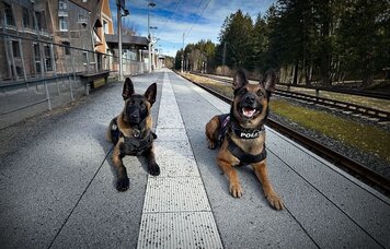 © Foto: GdP / Franziska Hutter