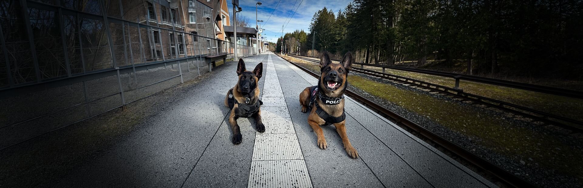 © Foto: GdP / Franziska Hutter