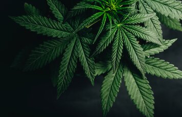 © YARphotographer/stock.adobe.com