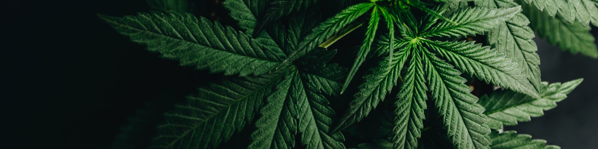 © YARphotographer/stock.adobe.com