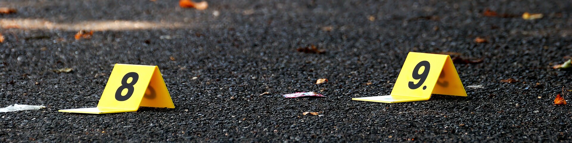 © Forance/stock.adobe.com
